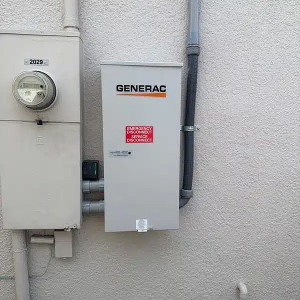 Electrical Panel & Service